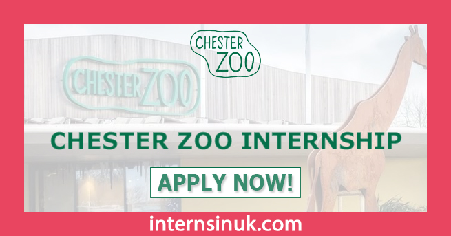 Chester Zoo Internship