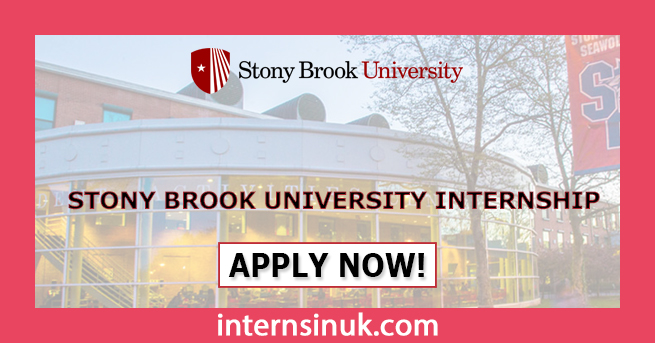 Stony Brook University Internship